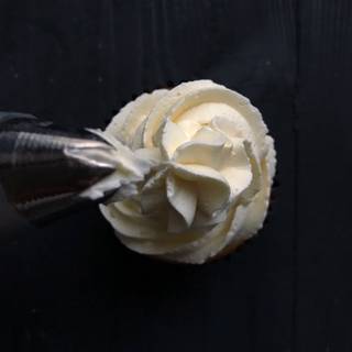Place any pastry tips you like into piping bag and fill the piping bag with buttercream.