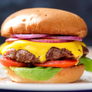 Best Home-made Juicy Hamburger Recipe